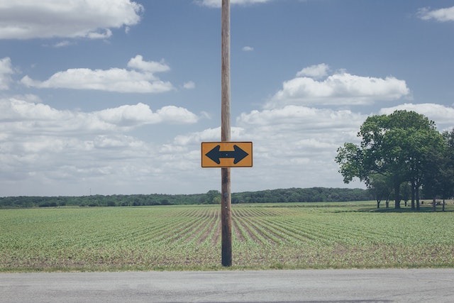 Freelancing on a platform vs. independent