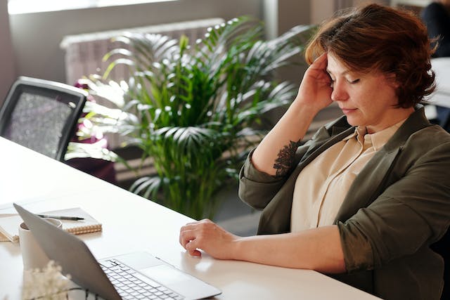 Freelancers can't afford to get ill: here are tips to outsmart the COVID Pirola variant - even one that includes playing with your pet