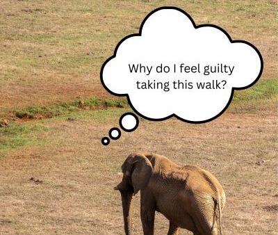 Ditch "freelancer guilt" because no one cares but you