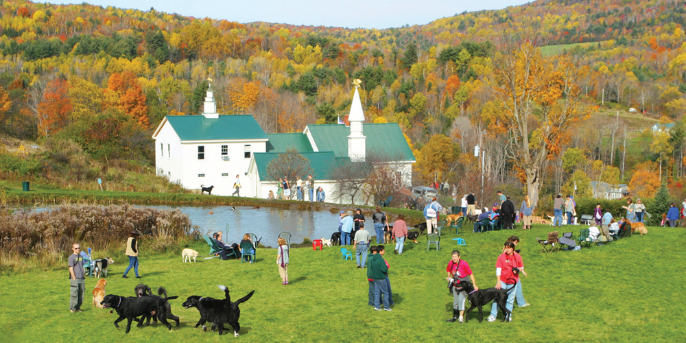 Dog Mountain: a dog lover's destination like no other