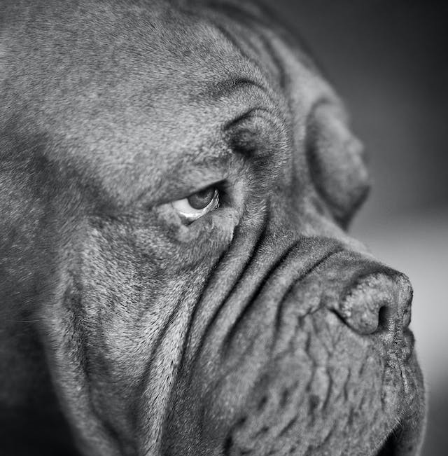 Beat the January Blues Quiz: how to spot the signs