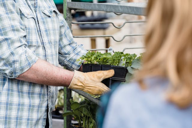 Have a dirty weekend: 4 veg and herb container projects you can complete in a weekend along with a DIY compost system that is super simple to create