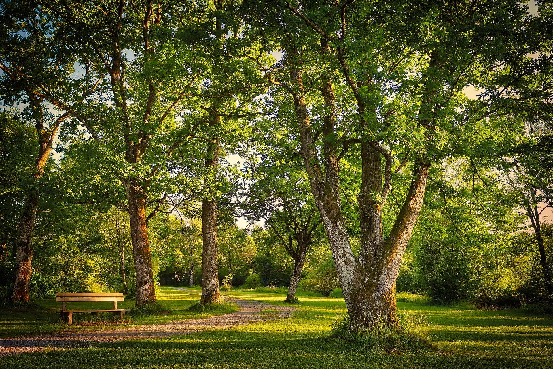 Follow the green funding: environmental, forestry and STEM freelancers and SMEs in for a bumper 2021