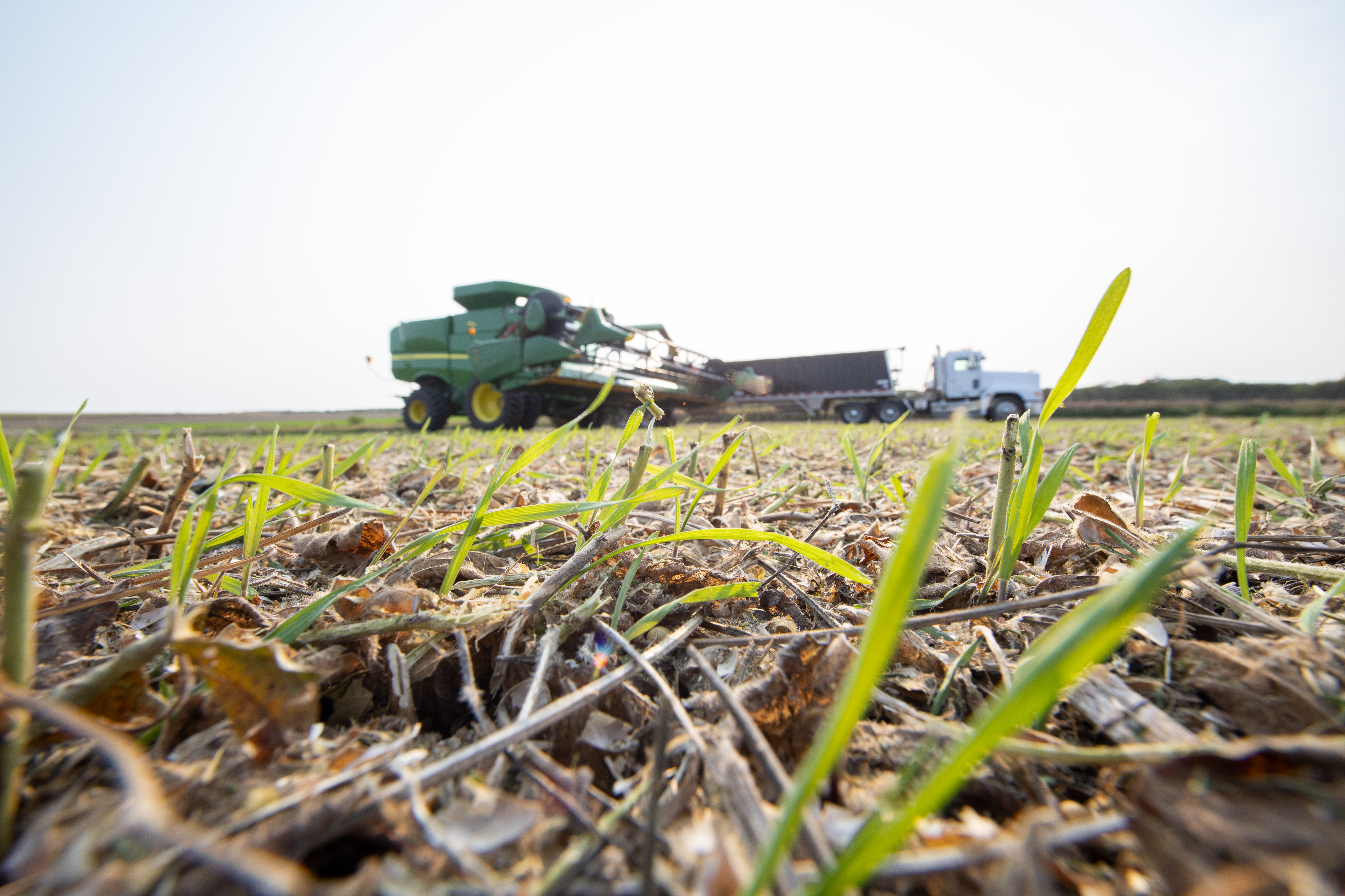 Cargill: The unexpected tech giant that’s hiring 400 tech and engineer specialists