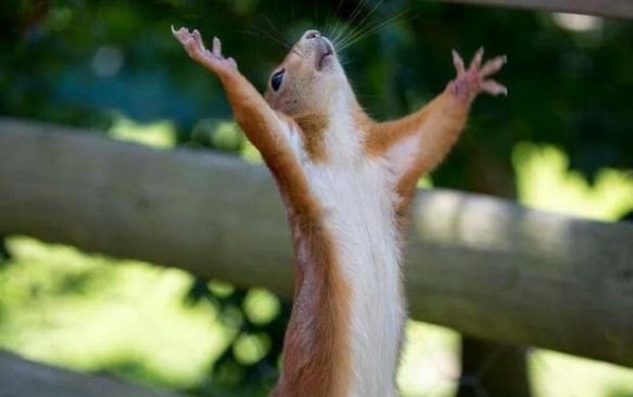 The Toughest Sells: How Social Media Managers Crack Industry's Hardest Nuts