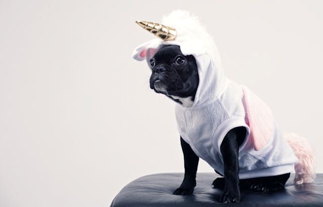 Who's hiring? These unicorns are