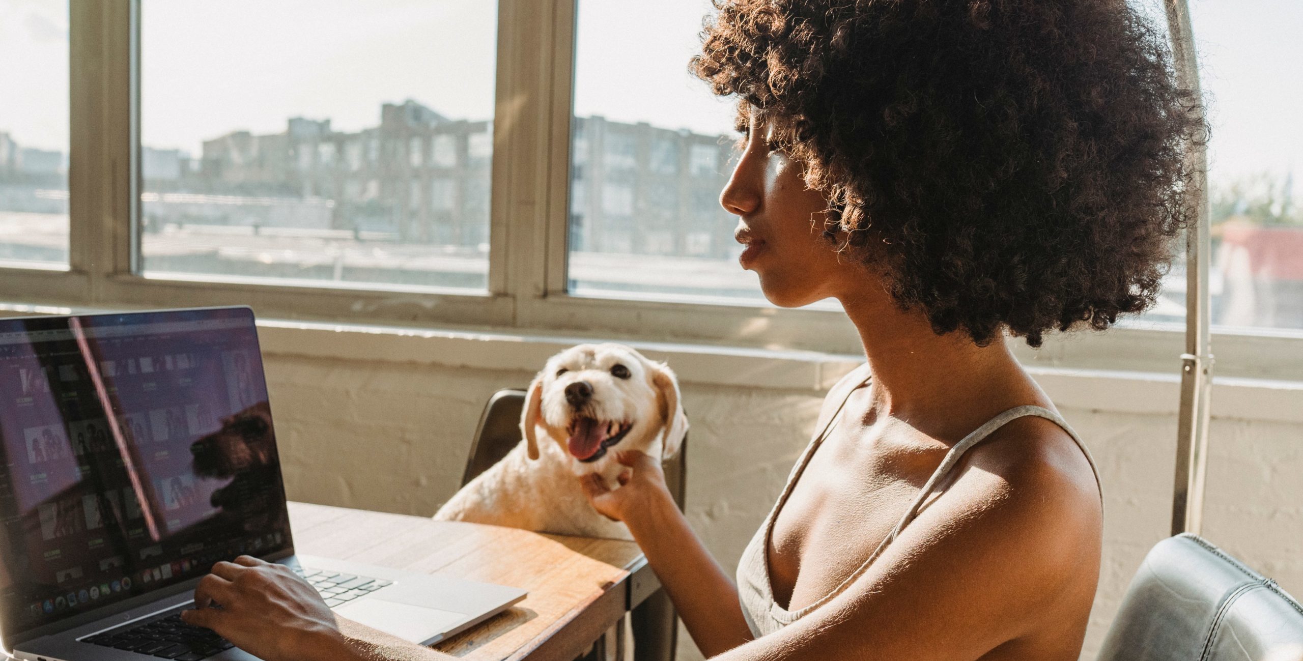 Solo self-employed numbers to rise in 2021 as will their 'economic inequality', says report
