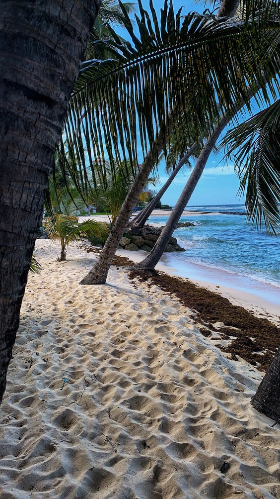 Need a change of scenery?  Barbados is offering 12-month Visas for remote workers- here's what we know so far