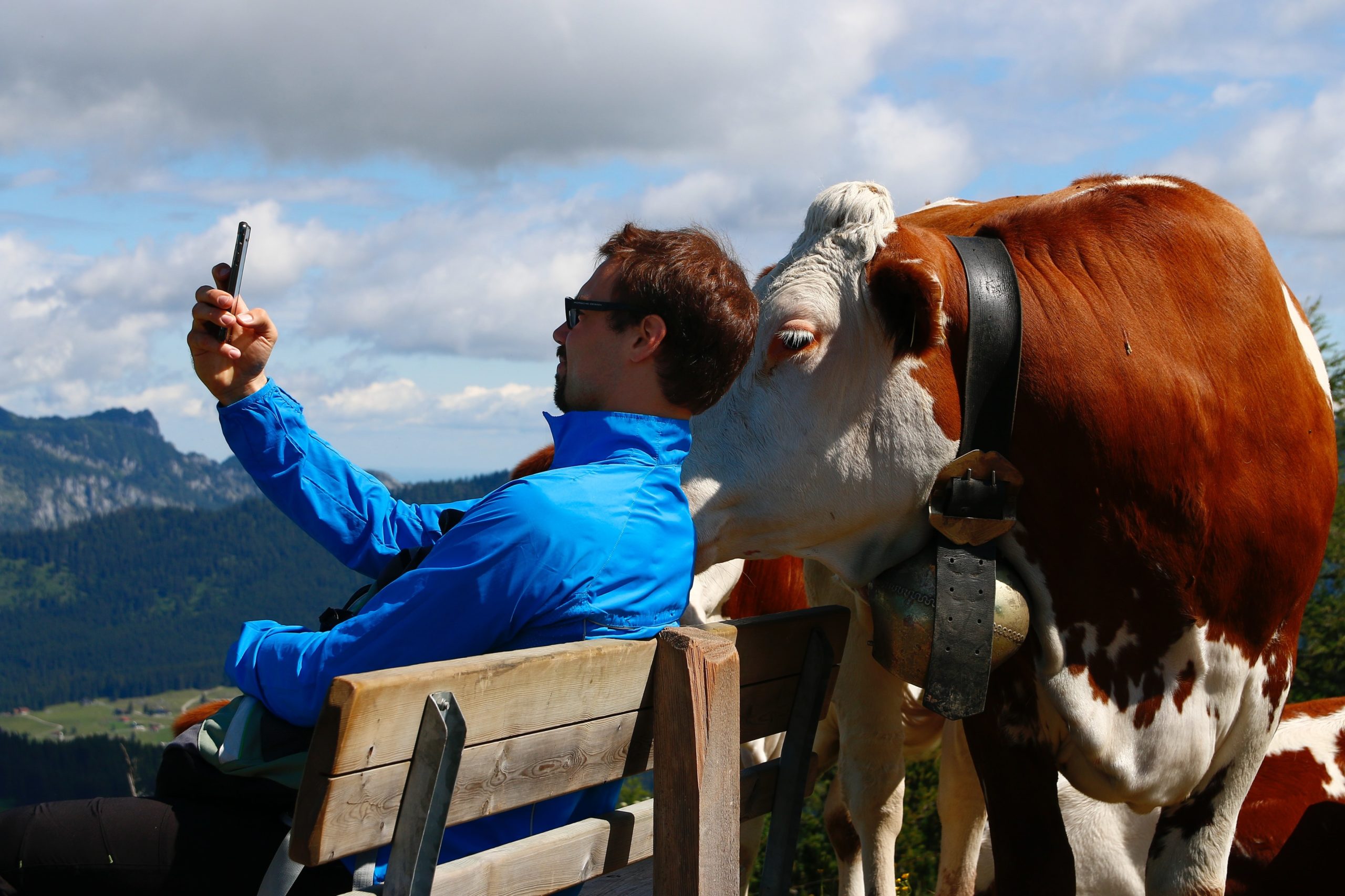 Funny business: Stanford study shows how to use humour to land more clients