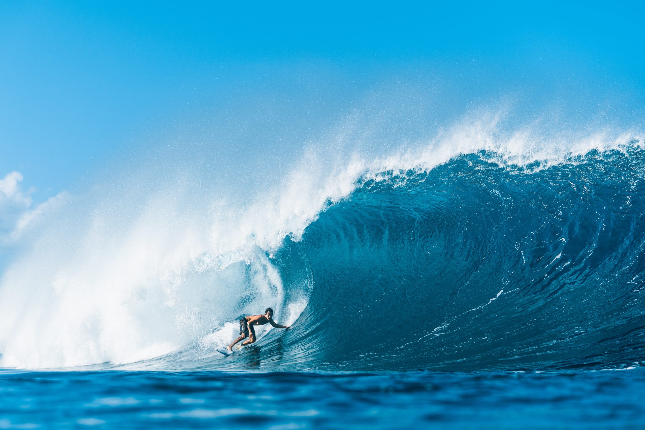 How much are freelancers willing to put at risk?
