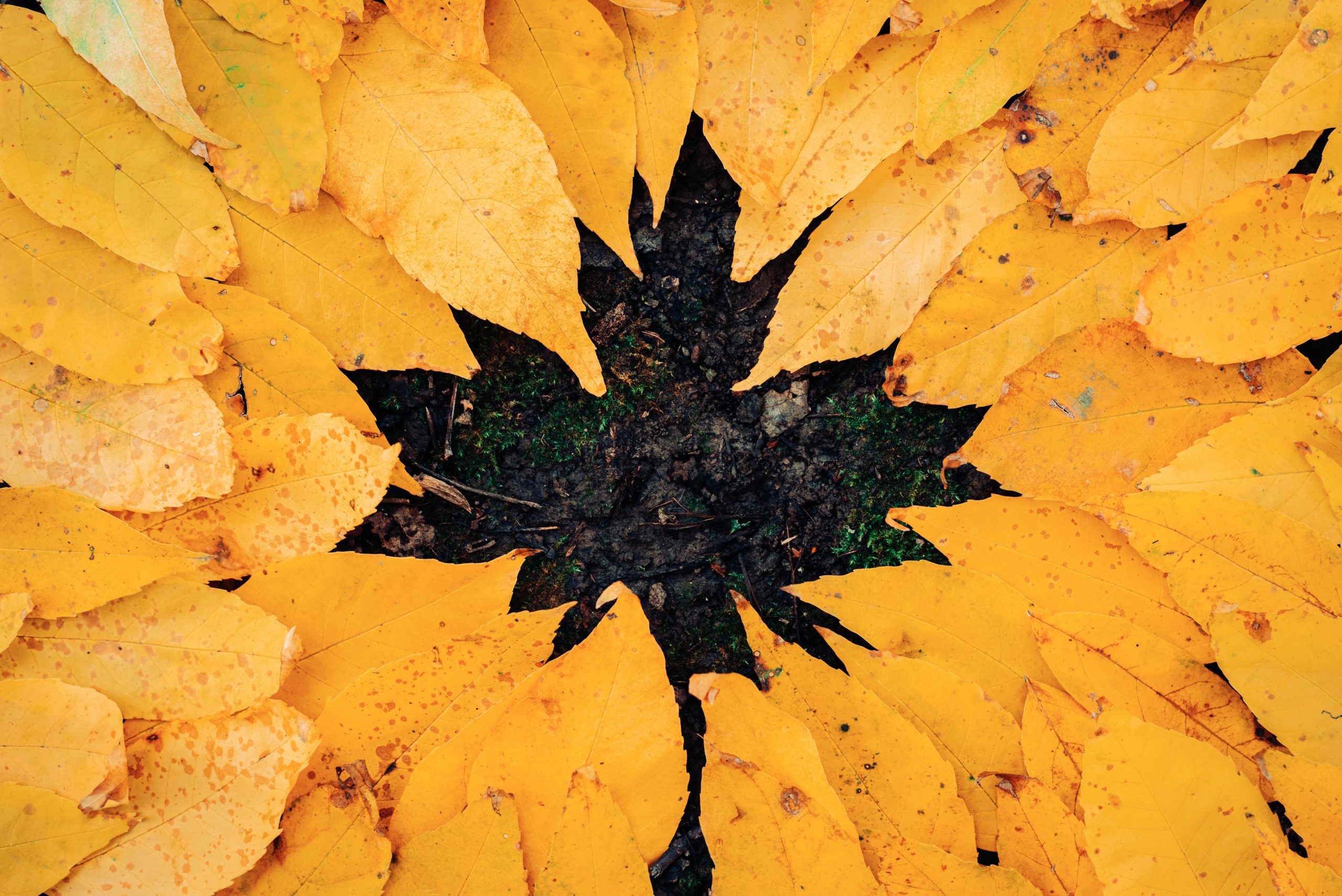 October: a month of many changes for freelancers