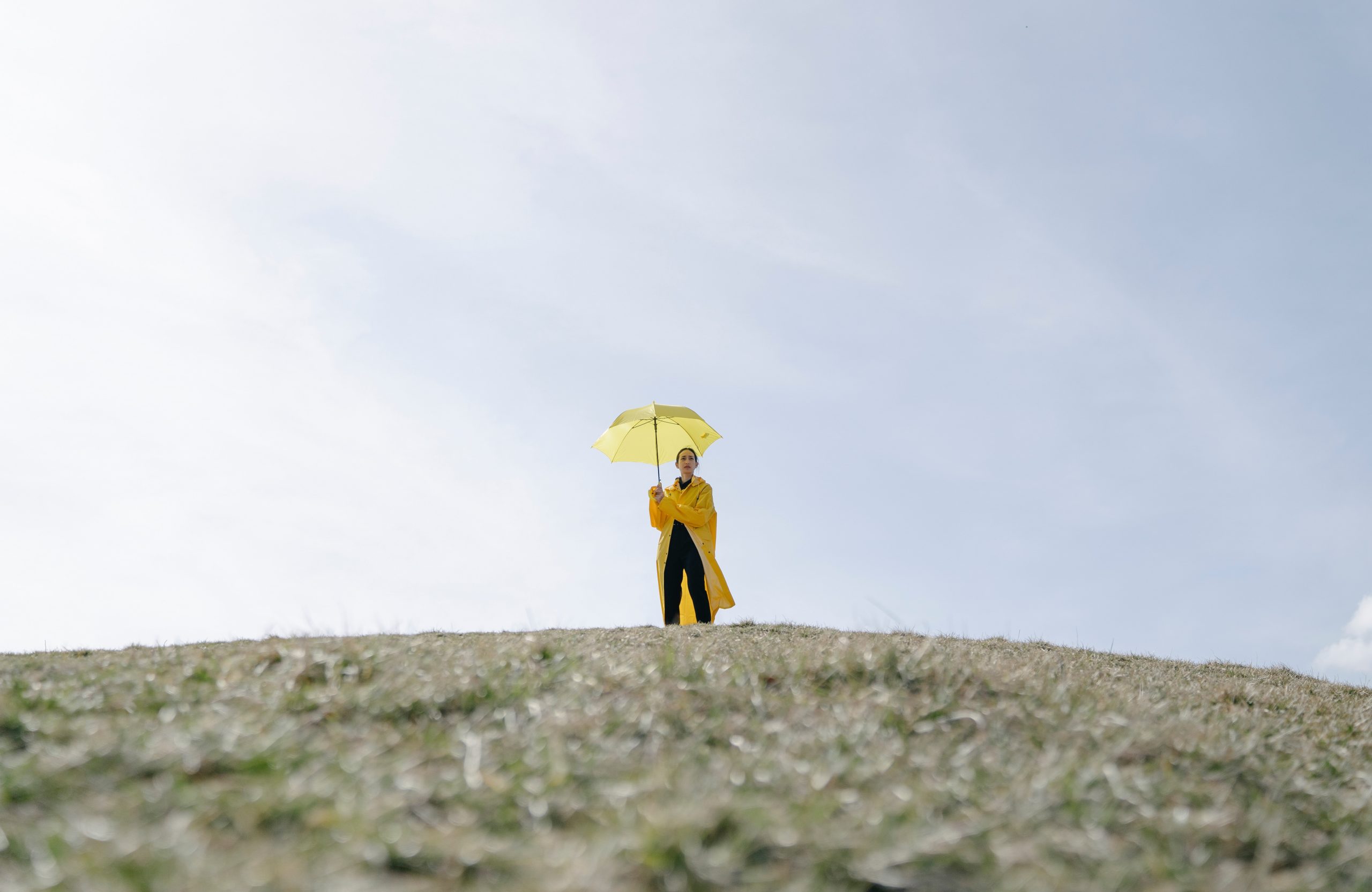 Is joining an umbrella company a good way to jumpstart a freelance career?