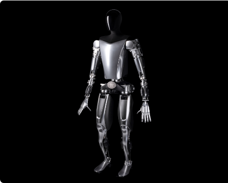 Tesla Optimus Robot: what would you programme your Humanoid to do?